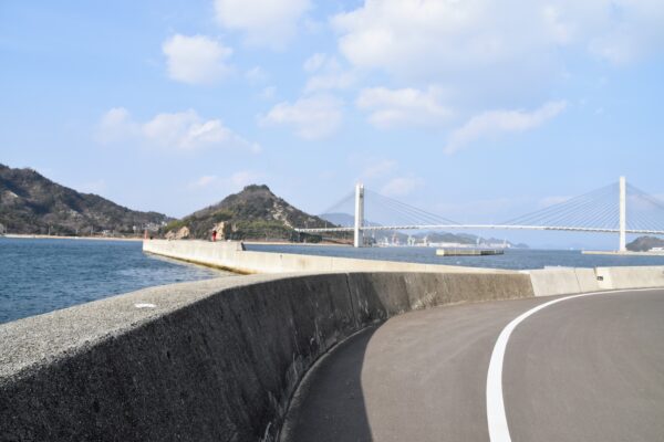 Sashima