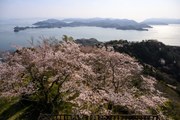 Mt. Sekizen Challenge
